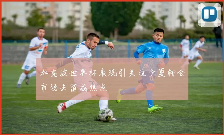 加克波世界杯表现引关注今夏转会市场去留成焦点
